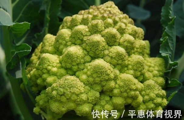医生|为何“肺结节”越来越多？医生劝说：3种食物少碰，肺会感谢你