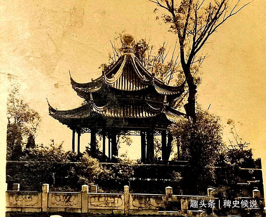 马寡妇#清代奇案寡妇貌美，寺中被人害死，鹦鹉报案伸冤，三个和尚斩首