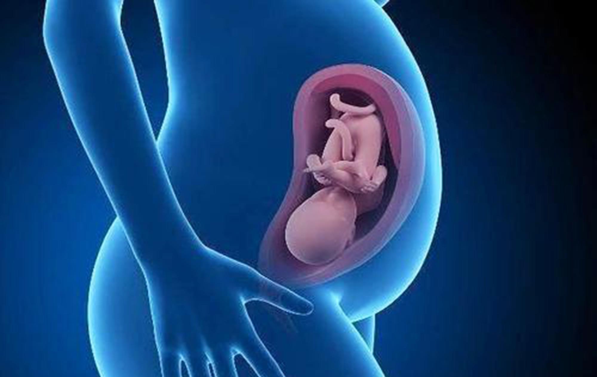 好处|水中分娩好处颇多，为啥女明星很少用呢？产科专家：钱再多也没招