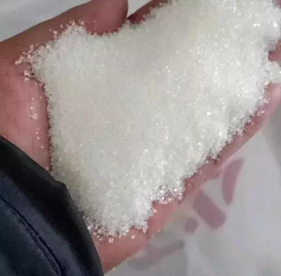 扦插不长根5种生根水里泡一泡,10天长出大白根,蹭蹭长!