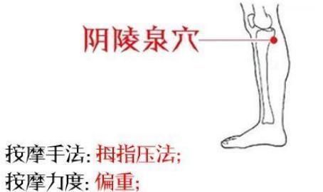 穴位|脾害怕什么?此3事易伤脾,不要做,按1穴、吃2物,可帮你健脾