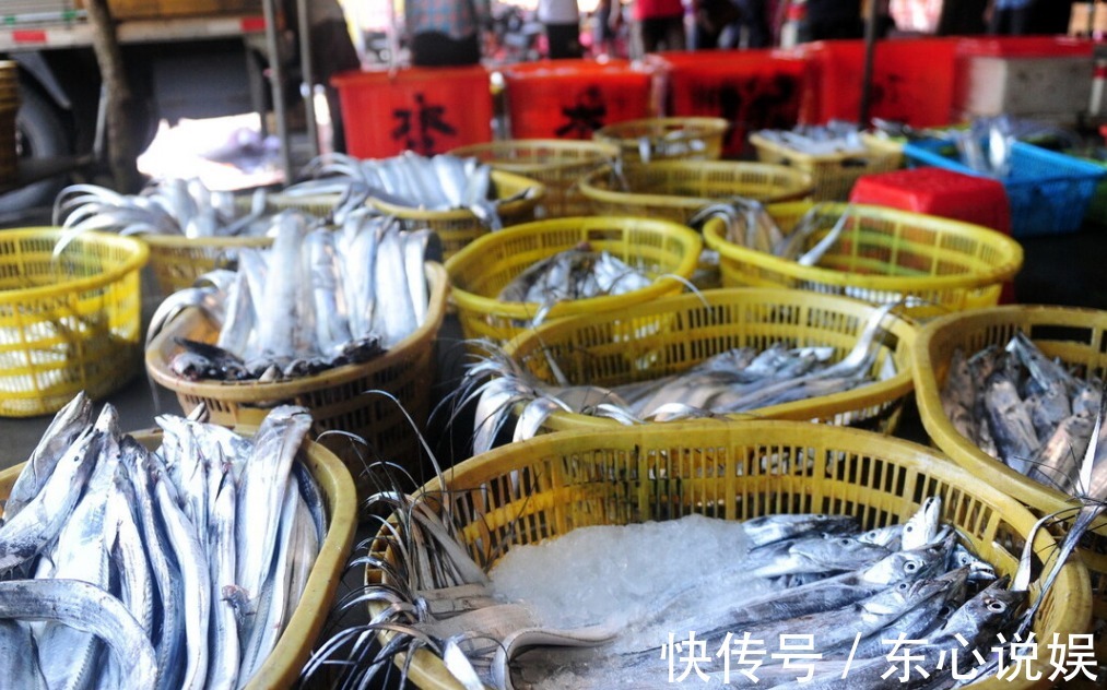 黄眼圈|买带鱼,白眼圈和黄眼圈哪个更好吃大小该怎么选知道后别买错