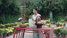 重陽節(jié)|《重陽奇妙游》開播，上次是周深這次是毛不易，效果炸裂