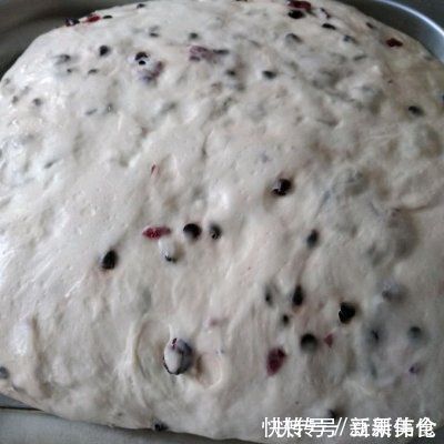 懒人|10分钟懒人必备菜,有了维也纳的软美莓全搞定