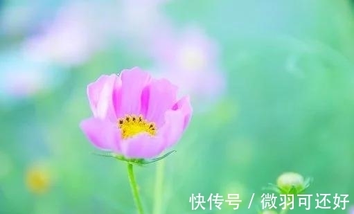 浪漫的事|7天后，爱有佳期，旧情痴迷，十指紧扣，人生苦短，深陷情网