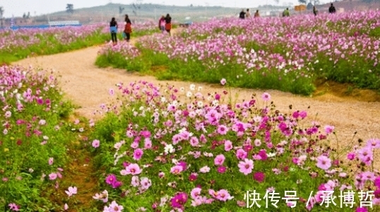 乘风破浪|11月份，这四生肖步入上上签，吉星相伴，财源滚滚，生活富足无忧