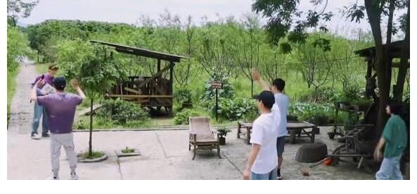 张艺兴|《向往5》收官,张子枫曾评价张艺兴给她的第一印象,如今恰好相反