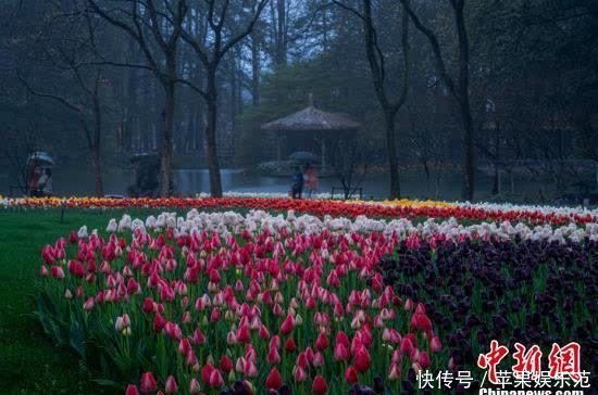 浙江杭州繁花盛放惹人醉