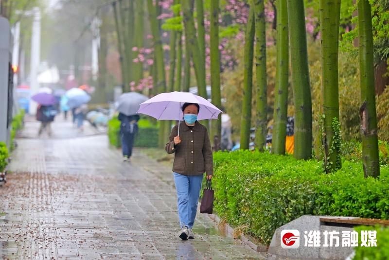 春雨来袭，润物细无声~