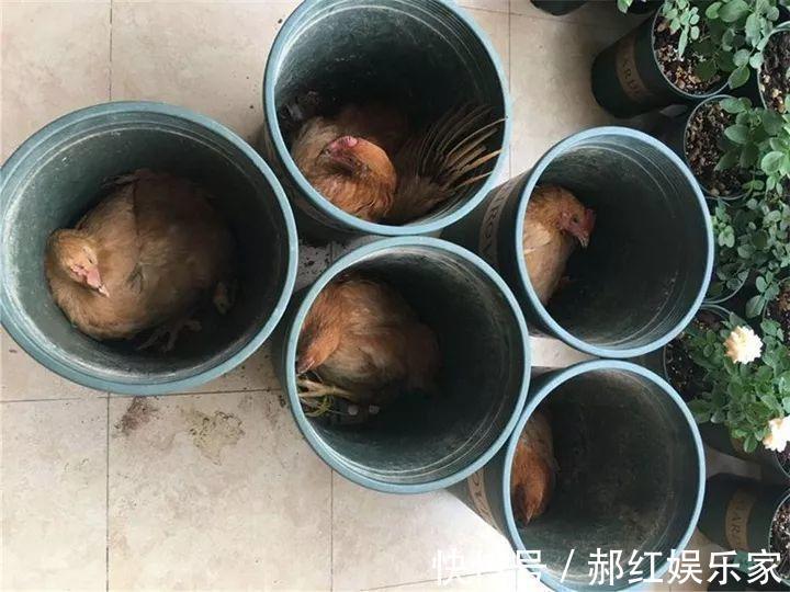 施肥|10个养花的坏习惯,赶紧改,不然真是浪费钱!