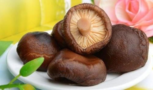 哈密瓜哈密瓜|生活中常见的美食，营养丰富，常吃增强抵抗力，健康养生