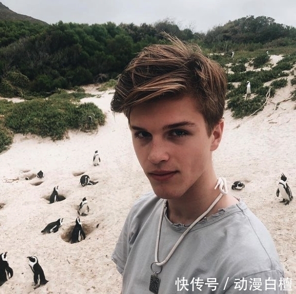 新田真剑佑|《海贼王》真人版选角曝光阵容奇怪?唯一日本演员新田真剑佑还不是演路飞!