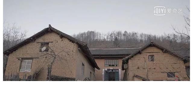 老贾|微博欠他1000次热搜