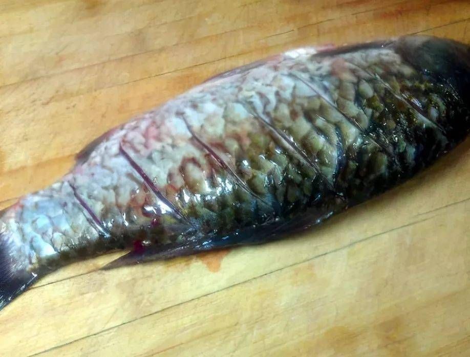 炖鱼时，别只会放料酒和醋，多加这1样，鱼肉鲜嫩香，还无腥味
