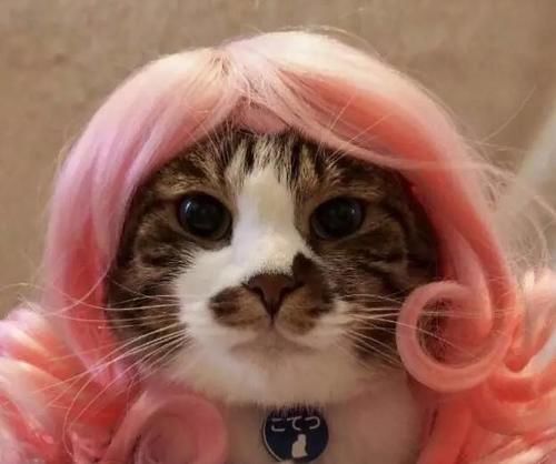 2021别染这个颜色，我怕你染了就舍不得换