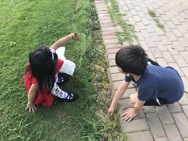 弟弟|“醋王宝宝”火了!看到妈妈只抱了姐姐,自己在一旁委屈得掉眼泪