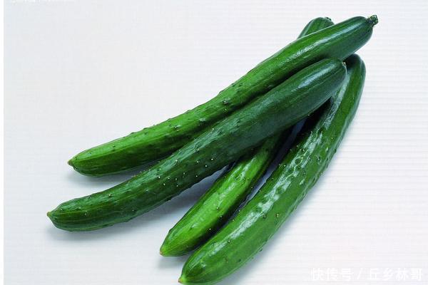 吃了半辈子黄瓜,这个做法百吃不腻,开胃又下饭,一日三餐都适合