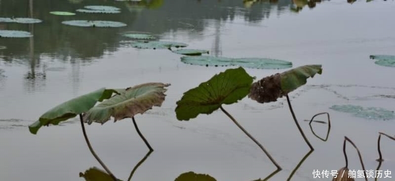 杨万里傍晚时分出门散步,信手拈来写下一首诗,充满了诗情画意!