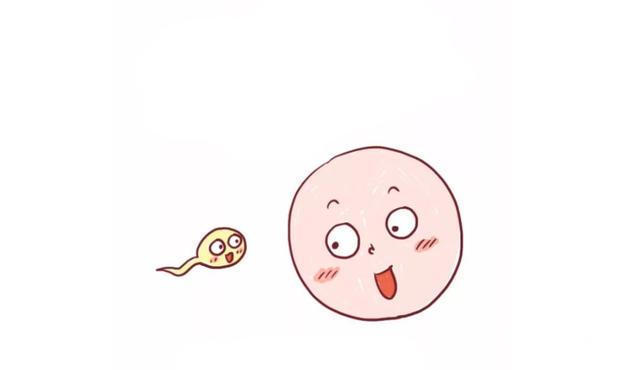 胎动|胎儿频繁好动,孕妈以为是孩子活泼,产检后悔恨不已