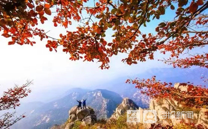 旅游|奋力走在前丨新业态赋能“百花齐放”解锁蓬莱旅游转型升级新路径