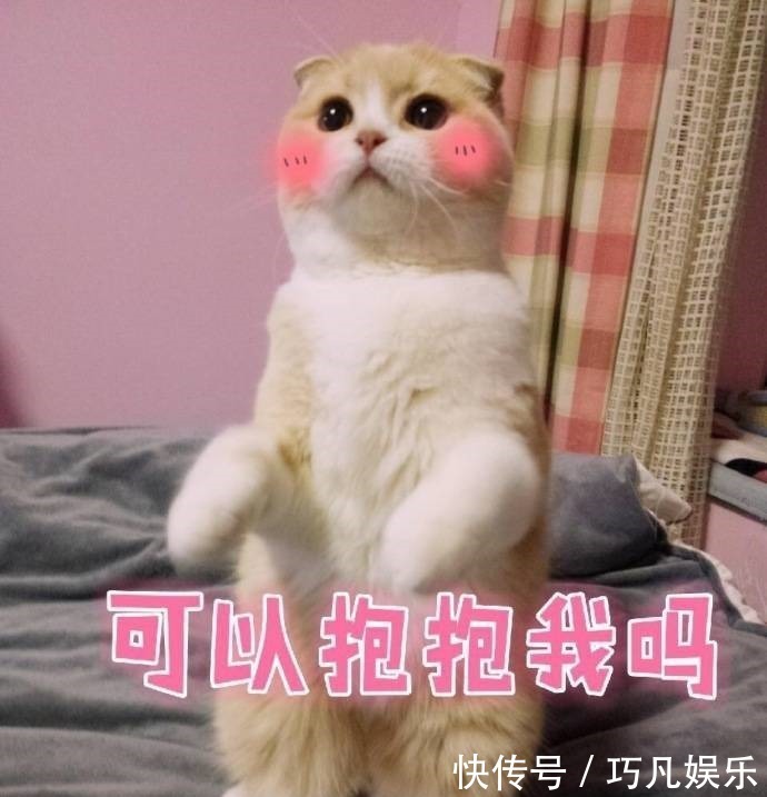 |笑话老公在低头算账洗碗一个月下来,一百五,拖地一个月五十