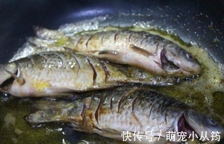 秋后碰到我从不还价的鱼,一买就是5斤,营养极高,煎着吃特香