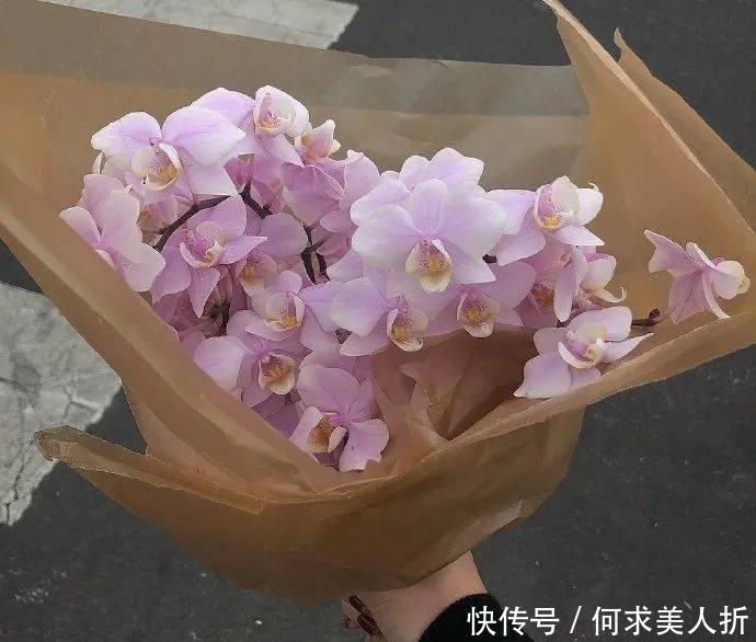 海王在便利店偷了一包虾条变成海贼王|背景图| 背景图