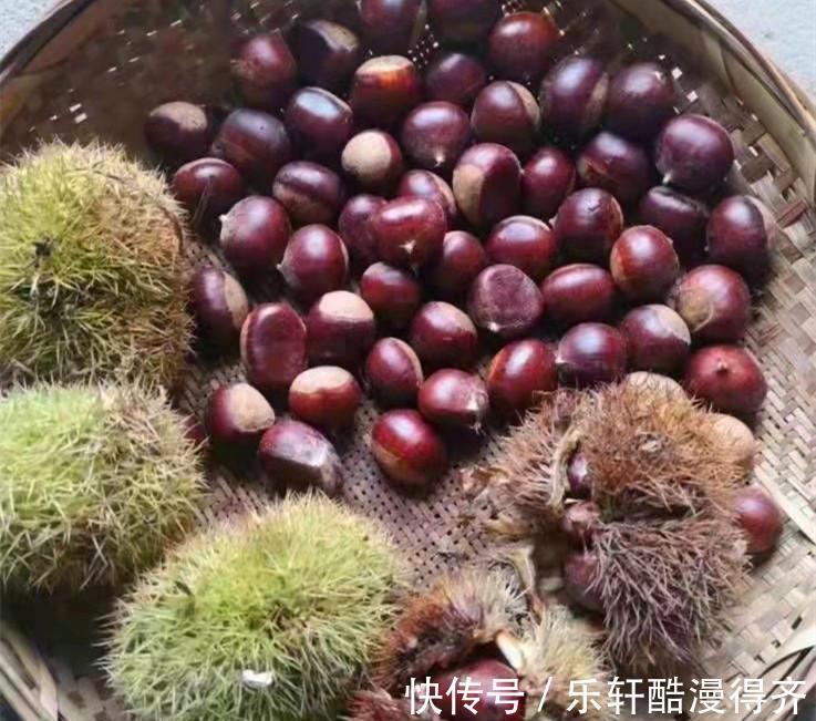 美味|立秋了，这4种坚果要多吃，美味营养高，缓解秋乏，安稳度秋天