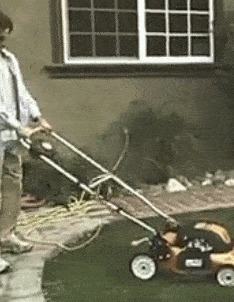 |搞笑GIF趣图:你们确定是来结亲的吗,怎么感觉不像