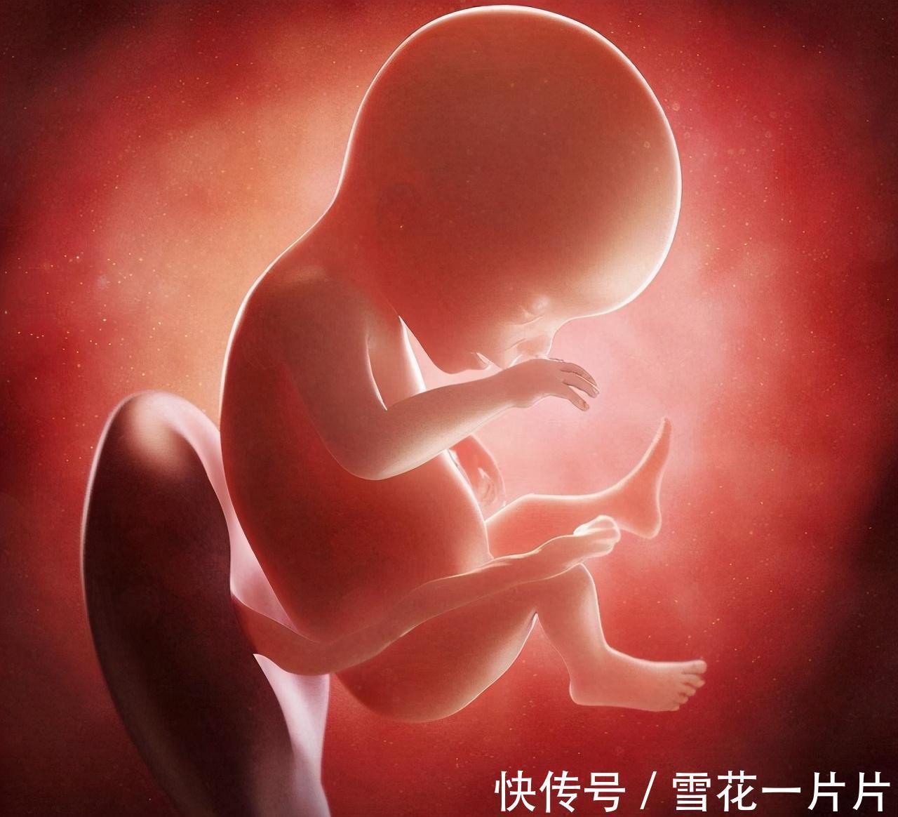 肚脐眼|怀的是男孩还是女孩,看孕妈肚脐“凹凸”就知道?科学解释在这里