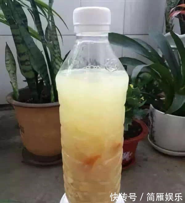 花卉|悄悄告诉你,养花高手都会的10个“小妙招”,学会以后,事半功倍