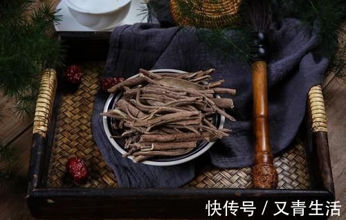 刺五加|一味中药分三种,一种祛风湿强筋骨,一种健脾、肺、肾,一种有毒