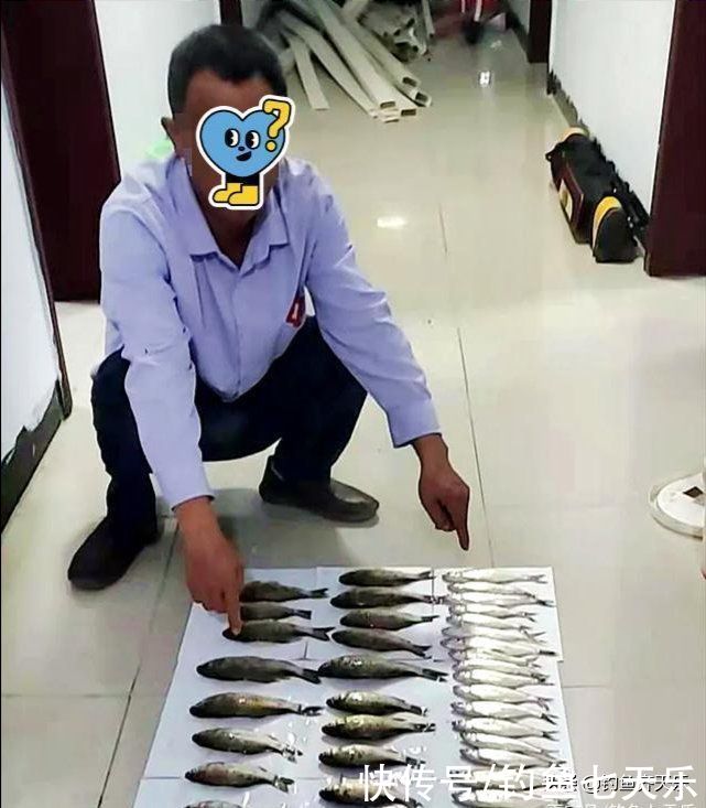 表态|长江“禁钓”多人被罚！休闲钓鱼该何去何从？管理部门表态了