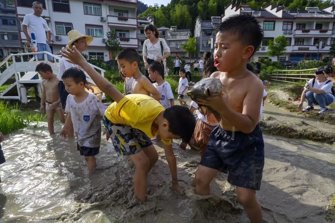 孩子们|太好玩！这个网红亲子游，看了分分钟就想去遛娃～