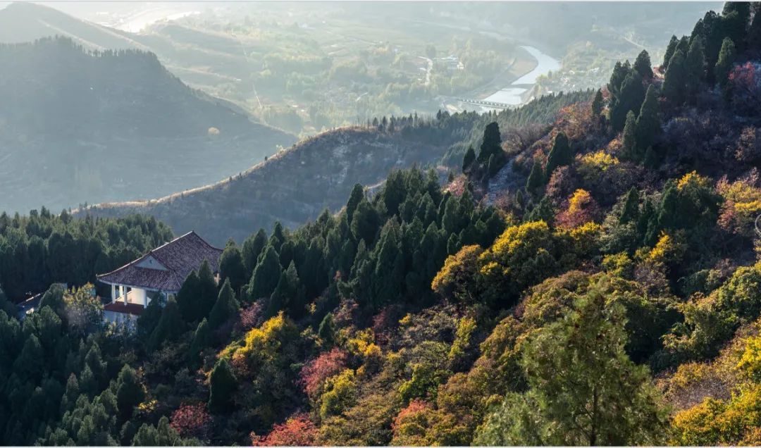 红叶|浓缩了秋日精华，独属于淄博的绚丽如画的山景！看一眼，惊艳一年