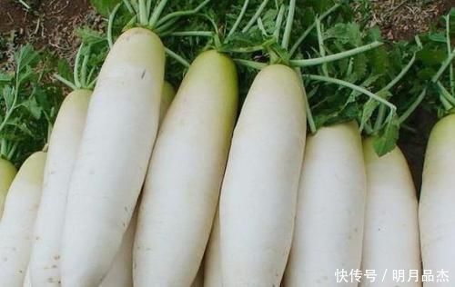 此物|提个醒吃完萝卜一小时内，别去碰此物，还有人不清楚，早知早好