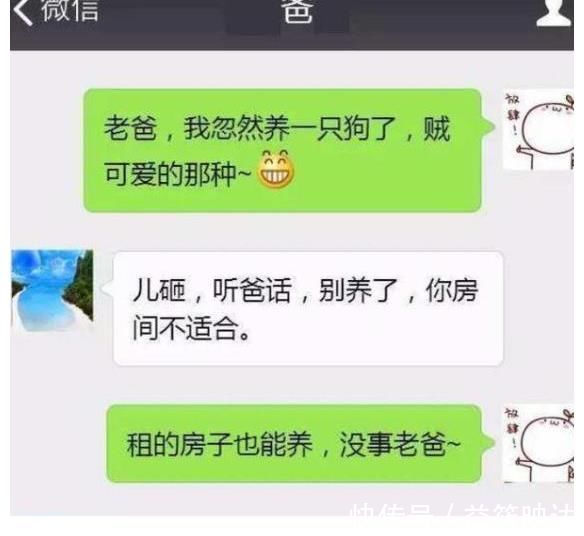 |大学生和父母的聊天记录走红，老爸堪比“段子手”，是亲爹没错