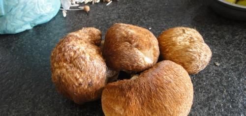 暖胃|患了浅表性胃炎，体重暴跌？医生：多吃4物，轻松修复胃黏膜！