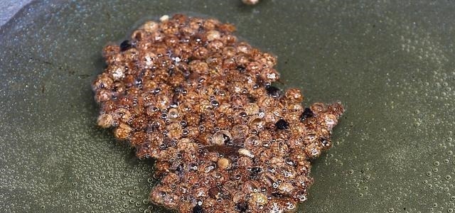 喜欢吃面条的要收藏,早餐面条懒人做法,孩子一大碗都不够吃