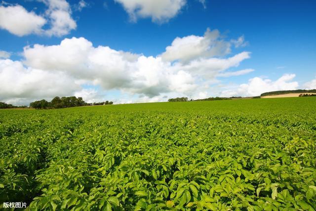 双鞋|闰四月为恶月,有哪些习俗必须给父母买衣服买鞋子吗