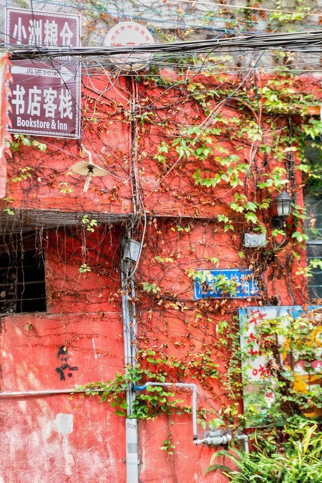 广州小洲村：超美岭南自然村，有古村落的原始，也有都市的时尚感