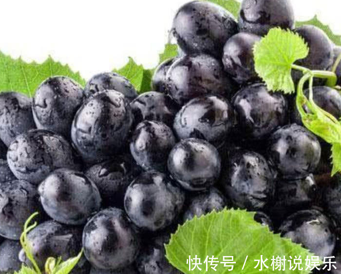 西兰花|“天然阿司匹林”就在身边,净化血液,清理血管,血栓不敢靠近。