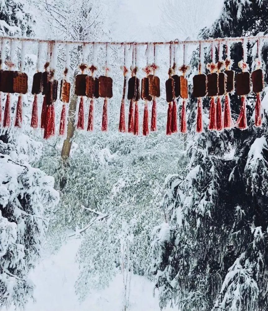 进补|大雪节气进补的四种营养食谱!