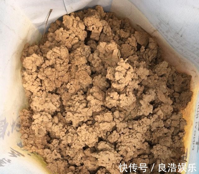 松针土|换盆先别忙，找到这3种材料旧土变新土，啥花也能用