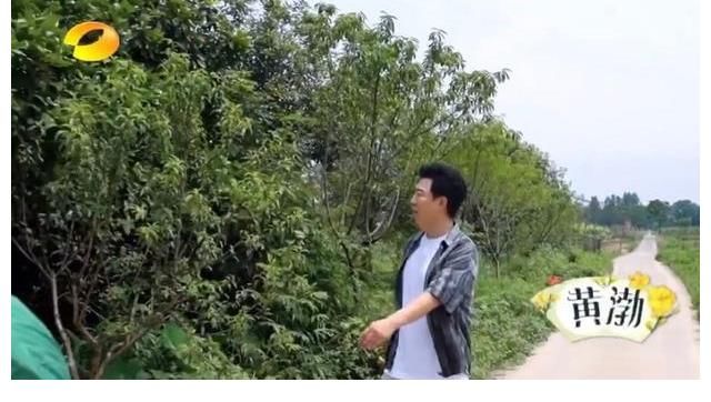 黄渤|《向往的生活》预告套路深，想看黄渤？别高兴太早