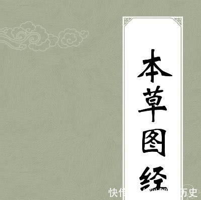 童年记忆大揭秘,黑悠悠黄悠悠真实身份,一种伴着你长大的甜野果