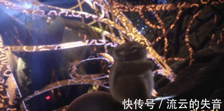 玄机放大招|斗罗大陆玄机放大招,唐三专属装备诞生,八蛛铠甲,合体!