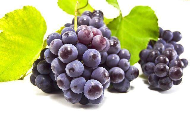 葡萄干|葡萄干和“它”一起泡,每天喝一杯,祛湿排毒,肝脏也越来越健康