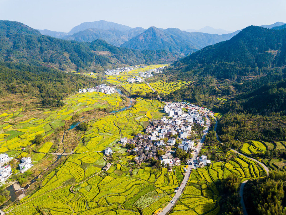 明年从三月到十月油菜花海经典6处任你选