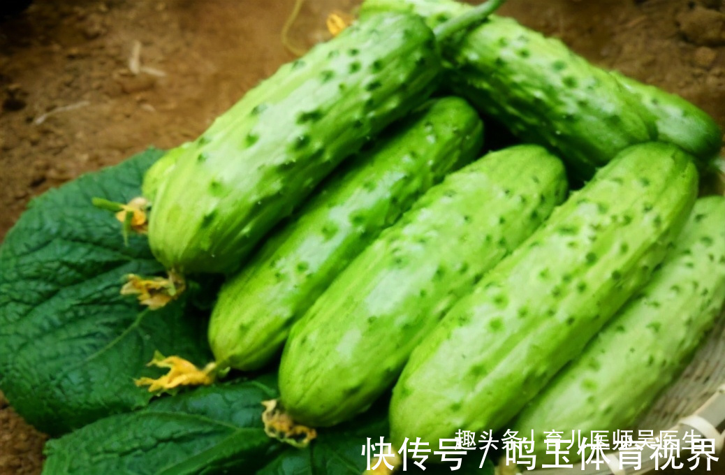 女性|聪明女性养生,吃养生食物,调理肠胃,健脾开胃,滋养身心